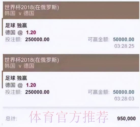 多家世界杯投注平台被停运引发广泛关注 多家世界杯投注平台被停运引发广泛关注